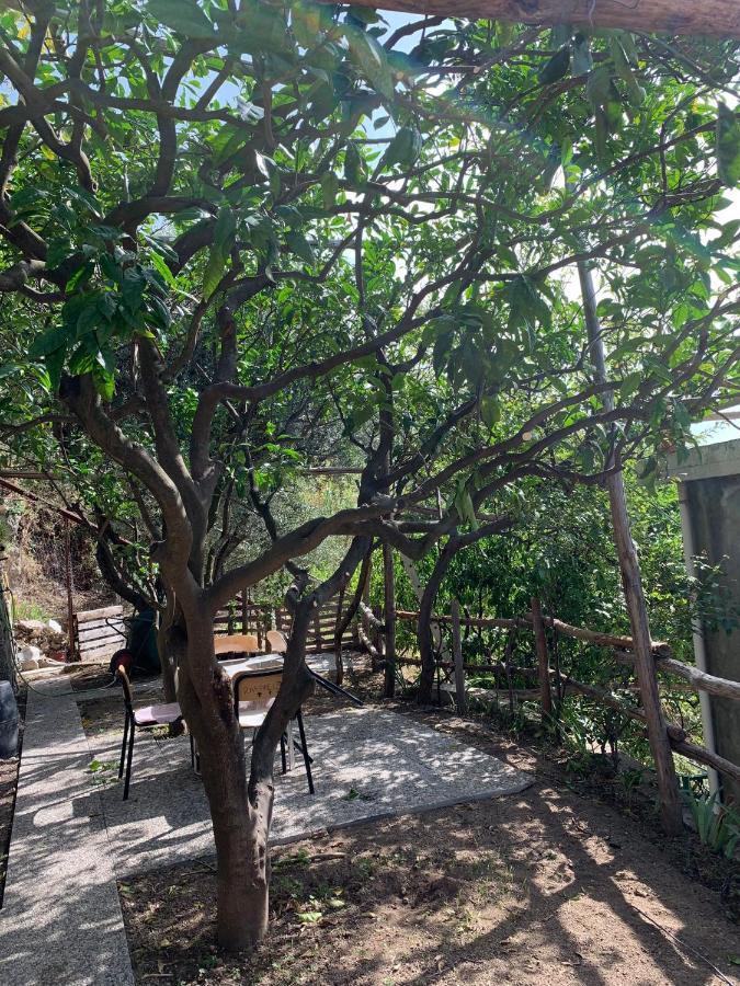 Apartment Giardino Sul Mare