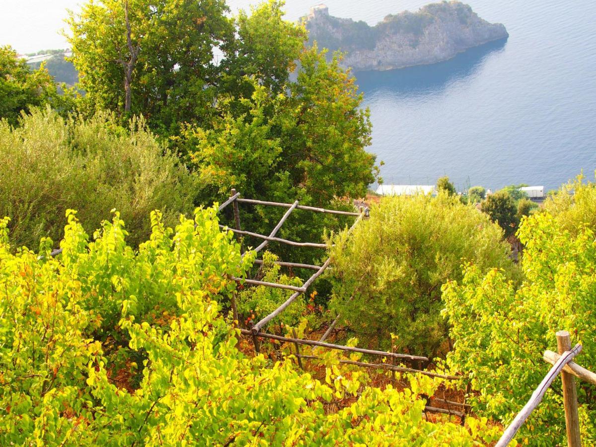 Apartment Giardino Sul Mare Amalfi
